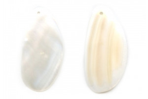 60x Shell Pendant