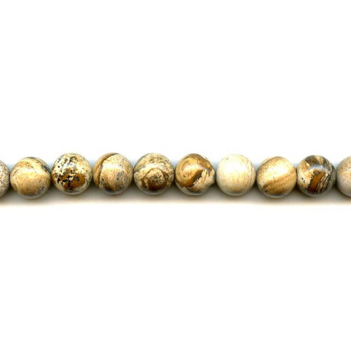 187-1109 Picture Jasper <br>12mm Round