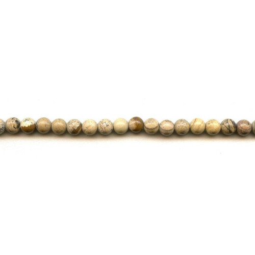 187-1204 Picture Jasper <br>6mm Round