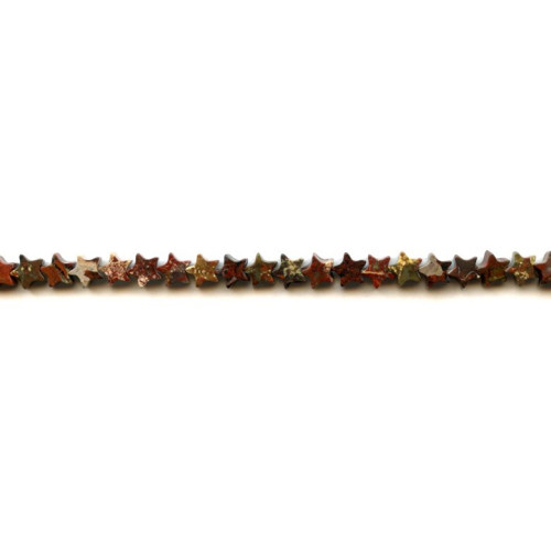 189-1041 Poppy Jasper <br>6mm Star