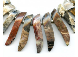 Silver Leaf Jasper 35-55mm S Drop