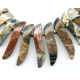 Silver Leaf Jasper