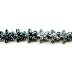 Snowflake Obsidian 19x Starfish