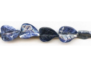 Sodalite 18x23 Leaf