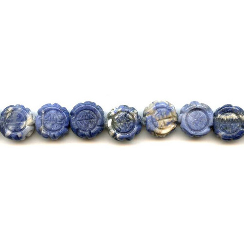 206-1360 Sodalite <br>15mm Carved Coin