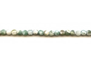 Matte Tree Agate 6mm Round