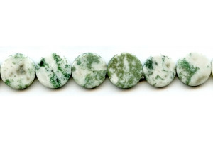 Tree Agate 16mm Dime