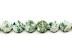 Tree Agate 16mm Dime