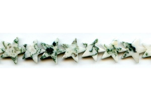 Tree Agate 18mm Star