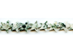 Tree Agate 18mm Star