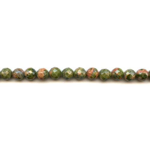 213-0208 Unakite <br>8mm Faceted Round