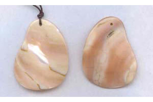 40x Shell Pendant