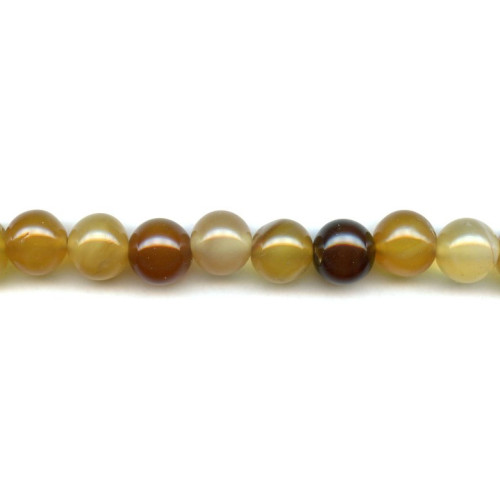 183-1075 Natural Carnelian <br>13-14mm Round