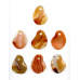 265-1548 N. Carnelian <br>60x52 Fancy Pendant