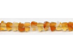 Natural Carnelian 12x8 Bear