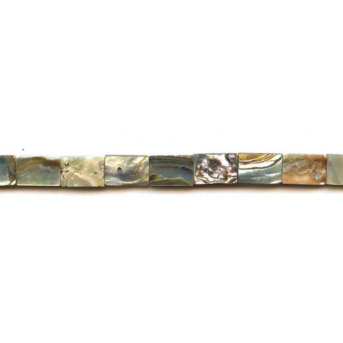 275-1048 Abalone <br>9x13 Flat Rectangle