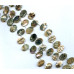 275-1068 Abalone <br>15x22 Flat Oval Drop