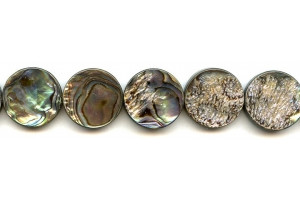 Abalone 20mm Dime