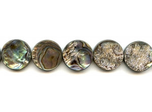 Abalone 20mm Dime