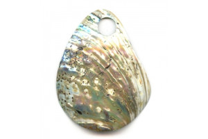 Abalone 93-106x Pendant