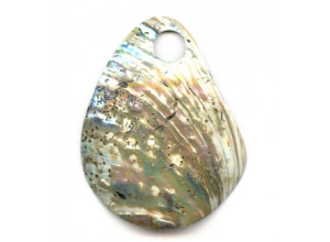 Abalone 93-106x Pendant