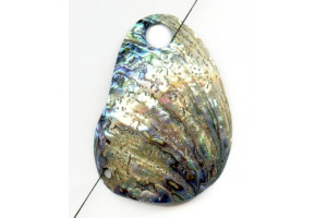 Abalone 92-106x Pendant