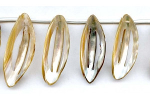 Yellow Abalone 33-40x Shell Drop