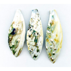 Abalone 60-70mm Shell Pendant