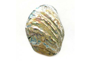 Abalone 80-85x Pendant