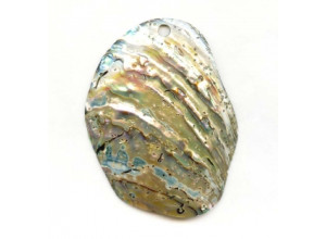 Abalone 80-85x Pendant