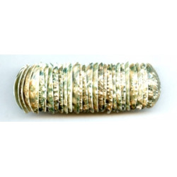 Abalone 26-30x Bracelet