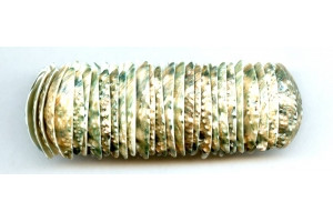 Abalone 26-30x Bracelet