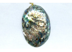 Abalone 58-60x Shell Pendant