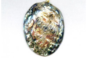 Abalone 60-65x Shell Pendant