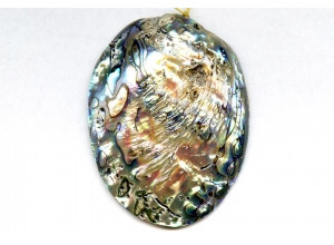 Abalone 60-65x Shell Pendant