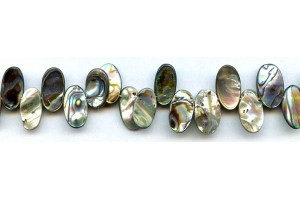 Abalone 13-16x Oval Drop