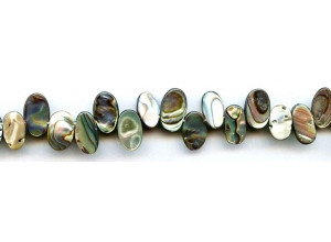 Abalone 10-13x Oval Drop