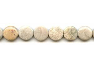 Fossil Coral 16mm Dime