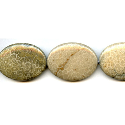 296-1038 Fossil Coral <br>30x40 Flat Oval