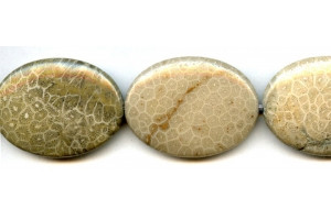 Fossil Coral 30x40 Flat Oval