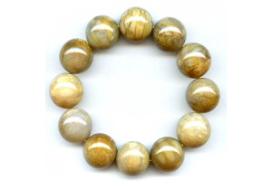 Fossil Coral 20mm Round Bracelet