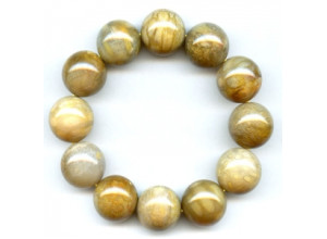 Fossil Coral 20mm Round Bracelet