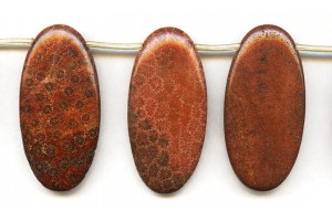 Red Fossil Coral 25x50 Flat Oval Drop