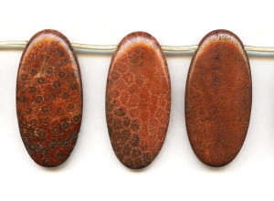 Red Fossil Coral 25x50 Flat Oval Drop