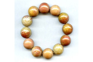 Fossil Coral 18mm Round Bracelet