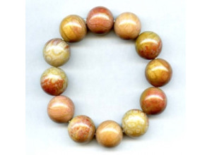 Fossil Coral 18mm Round Bracelet