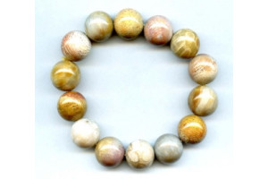 Fossil Coral 16mm Round Bracelet