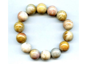 Fossil Coral 16mm Round Bracelet