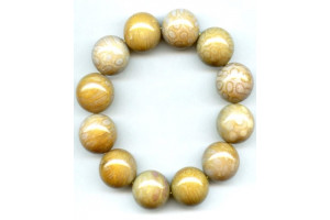 Fossil Coral 22mm Round Bracelet