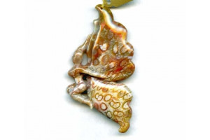 Fossil Coral 78x Carved Pendant